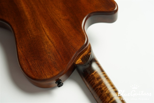 Arcus Thinbody Archtop - Organic Texture