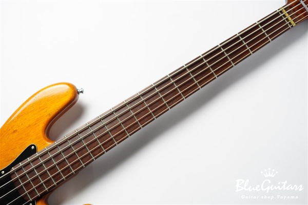 DGF Model 5strings