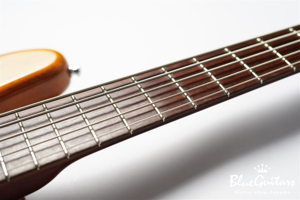DGF Model 5strings