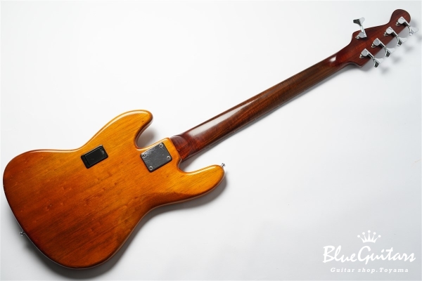 DGF Model 5strings