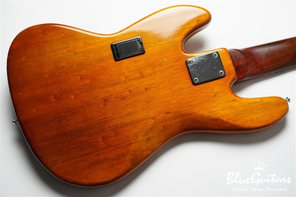 DGF Model 5strings