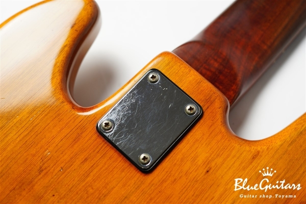 DGF Model 5strings