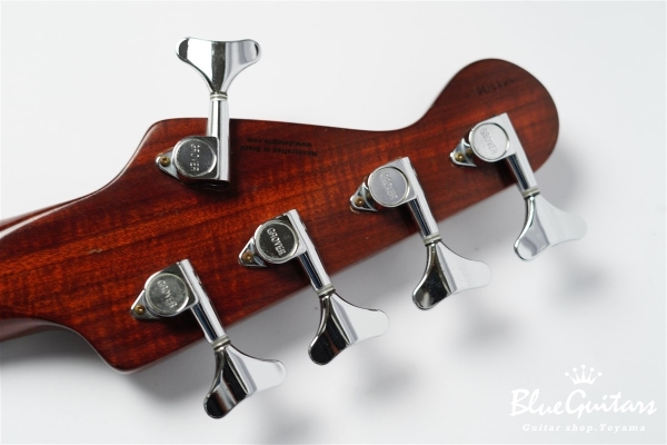 DGF Model 5strings