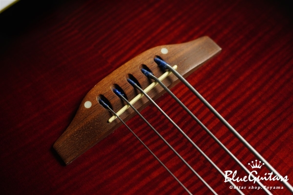 CS275 - Ruby Red Burst