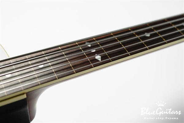 CS275 - Ruby Red Burst