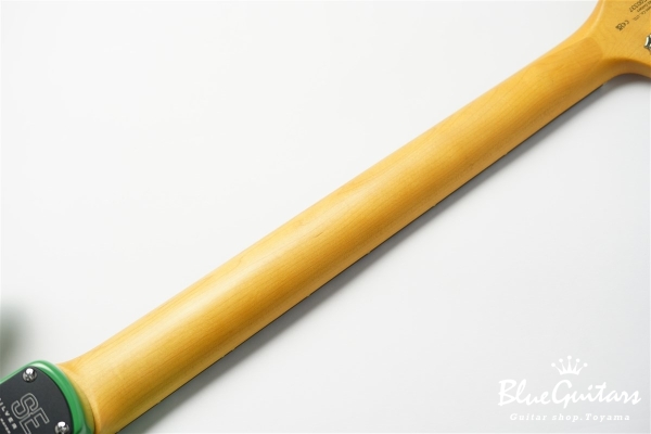 SE Silver Sky - Ever Green