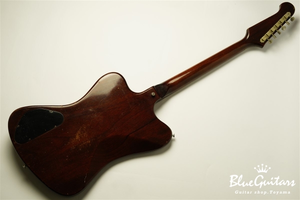1965年製 Firebird Non Reverse - Sunburst