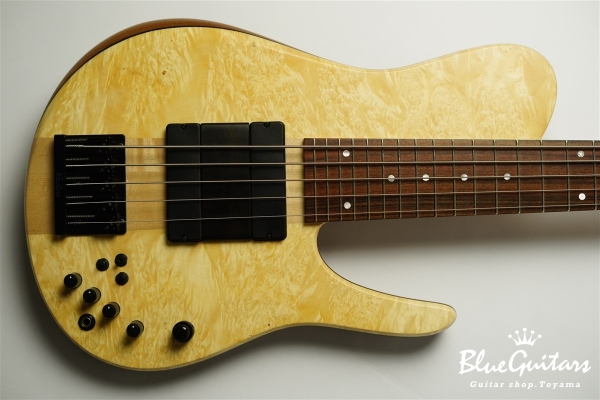 Matt Garrison Standard