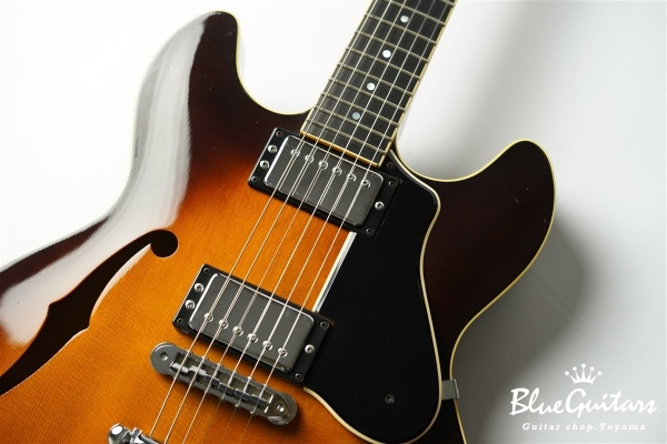 SA1200-S - Vintage Sunburst