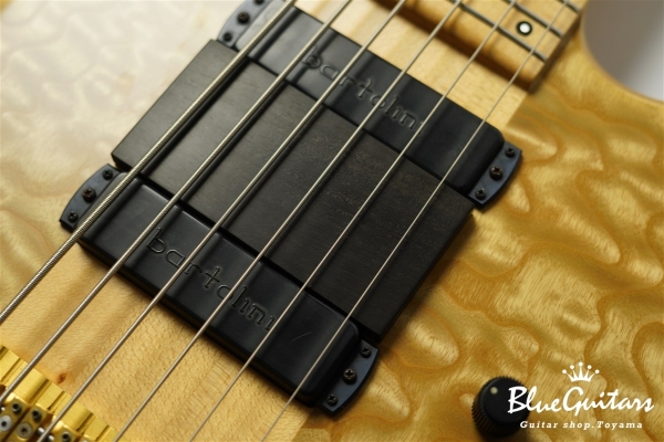 Anthony Jackson Contrabass 6-strings