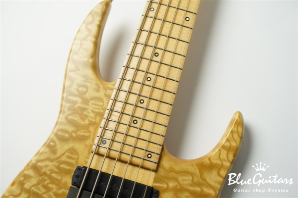 Anthony Jackson Contrabass 6-strings