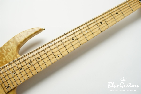 Anthony Jackson Contrabass 6-strings