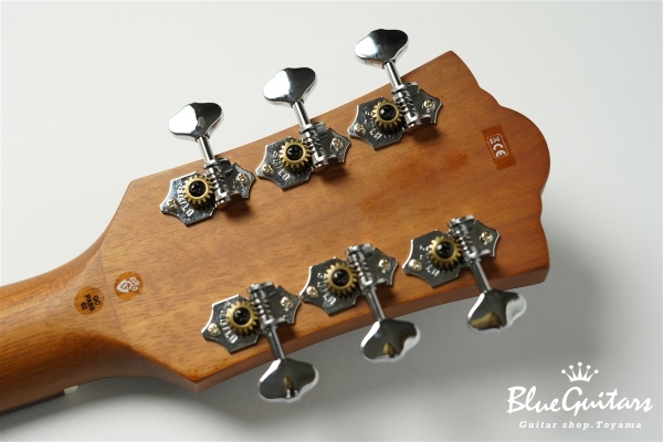 OM-240CE - Dark Blue Burst