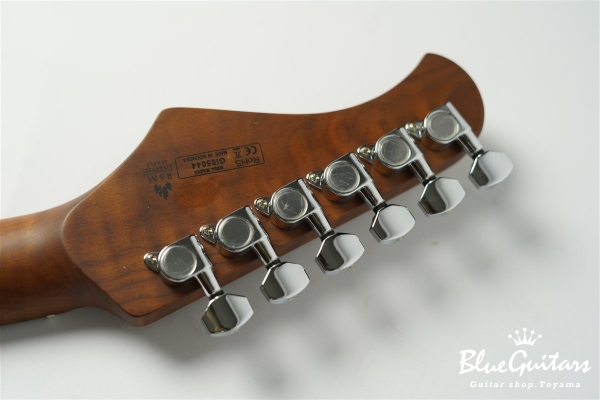 TACTICS-ASH/RSM - BD