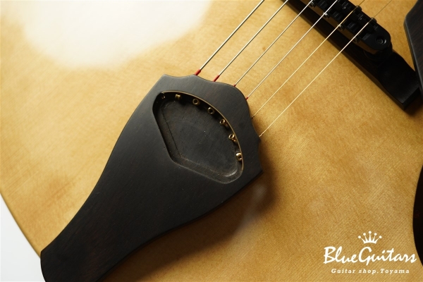 Arcus Thinbody Archtop - Nature