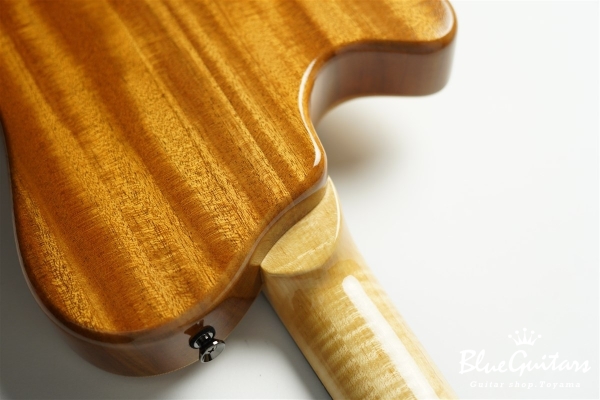 Arcus Thinbody Archtop - Nature