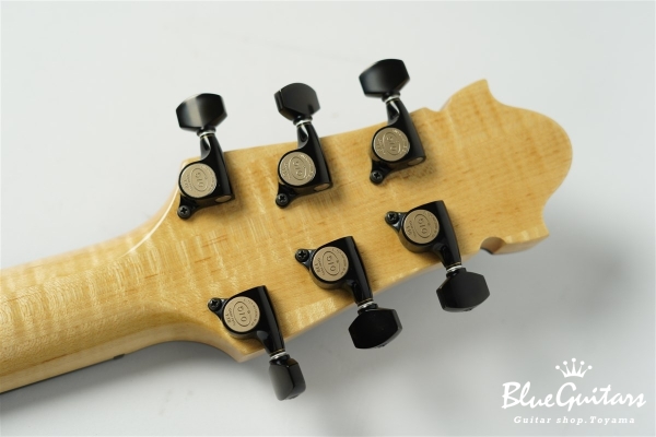 Arcus Thinbody Archtop - Nature