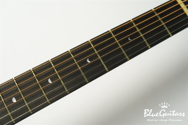 aNN-LS600E Design by Luthier Sugita Kenji