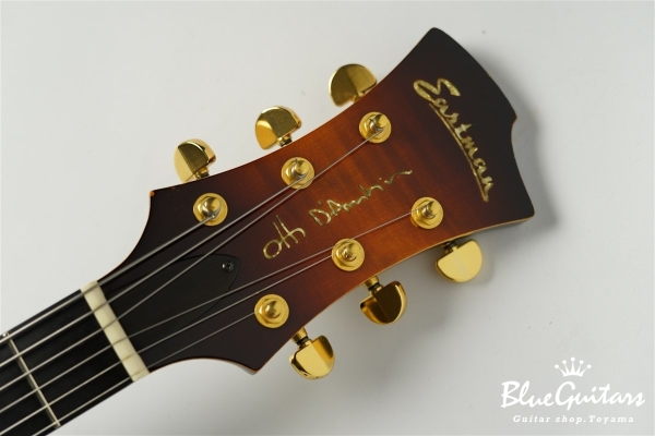 ER-1 Standard Jazz - Sunburst