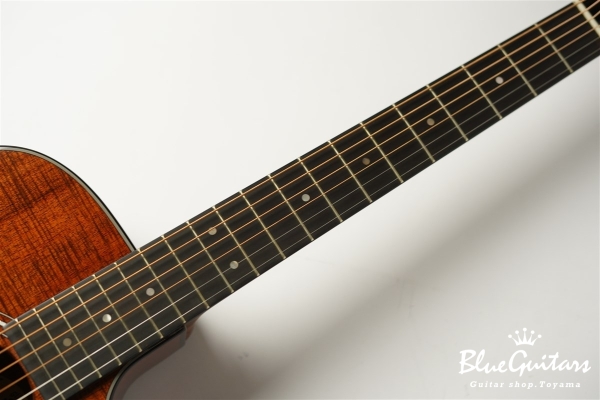 OM-260CE DELUXE BLACKWOOD - Natural