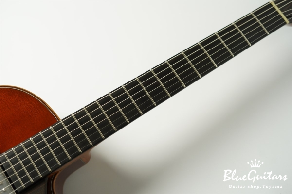 Wagtail 15″ Spruce Top / Maple Side&Back - Brown