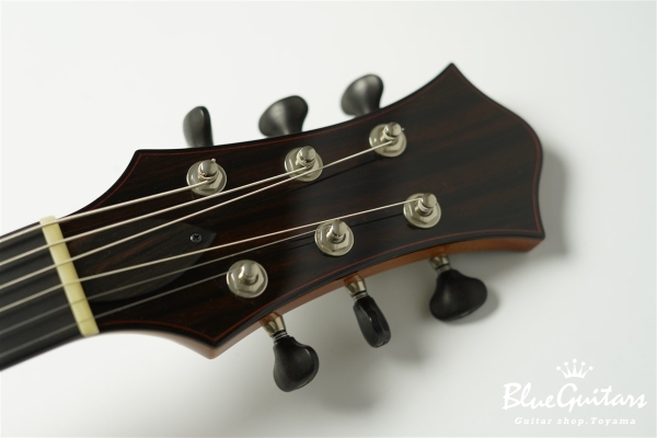 Wagtail 15″ Spruce Top / Maple Side&Back - Brown