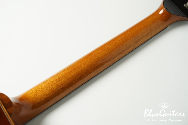 Wagtail 15″ Spruce Top / Maple Side&Back - Brown