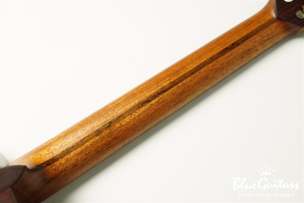 guitar 14f std. g sh - Sitka Spruce / Indian Rosewood