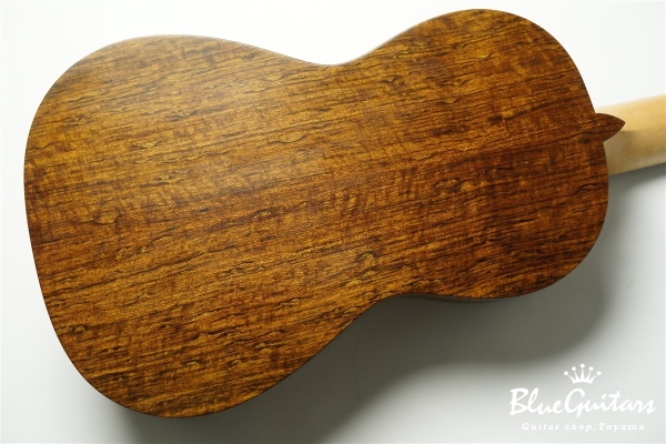 guitar 14f std. s - Red Cedar / Ovangkol