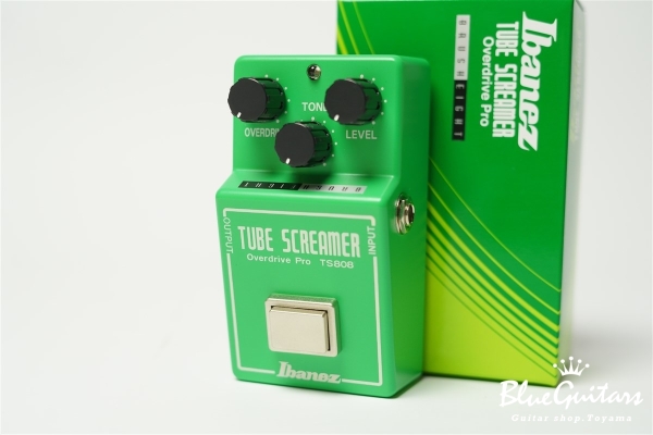 Brush eight Ibanez Tube Scremer TS808 ”MOD