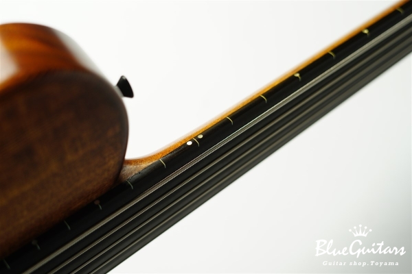 TEMPESTA 5st Fretless - Organic Texture
