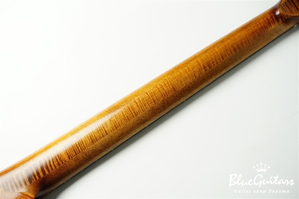 TEMPESTA 5st Fretless - Organic Texture