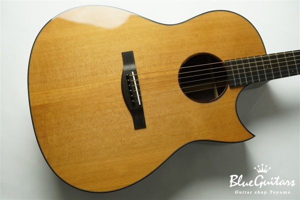 Acoustic Model AD. Cutaway Cedar/Indian Rosewood
