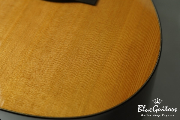 Acoustic Model AD. Cutaway Cedar/Indian Rosewood