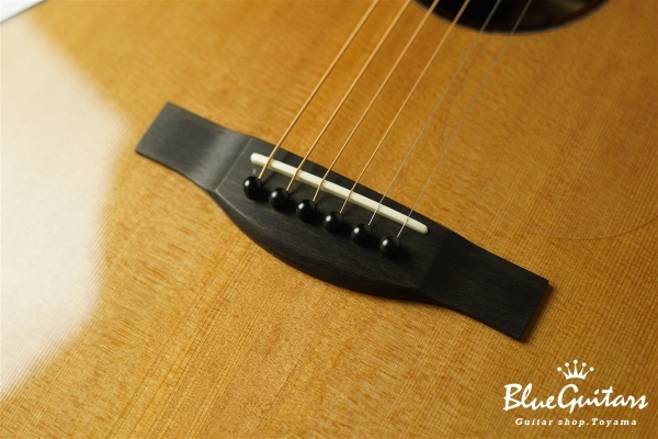 Acoustic Model AD. Cutaway Cedar/Indian Rosewood