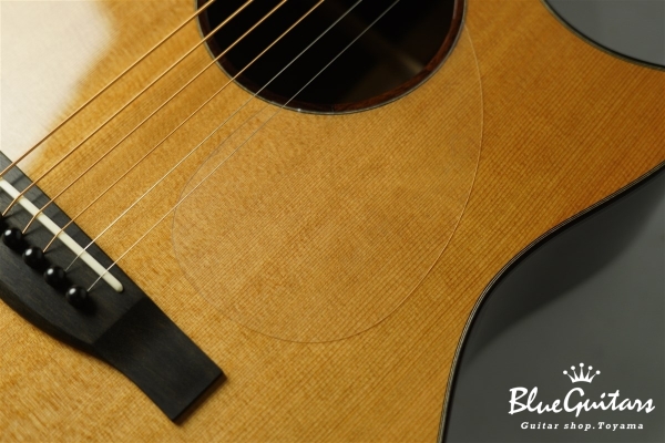 Acoustic Model AD. Cutaway Cedar/Indian Rosewood