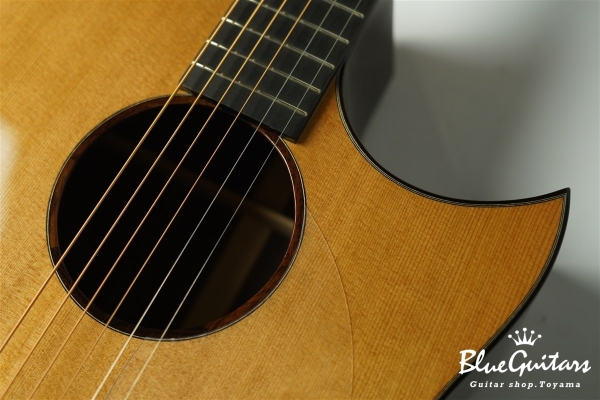 Acoustic Model AD. Cutaway Cedar/Indian Rosewood
