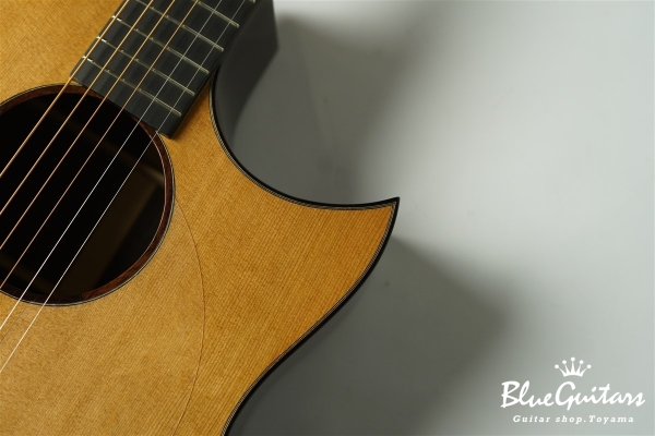 Acoustic Model AD. Cutaway Cedar/Indian Rosewood