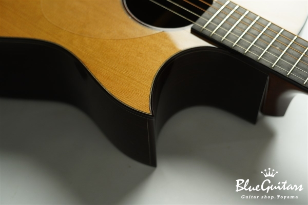 Acoustic Model AD. Cutaway Cedar/Indian Rosewood