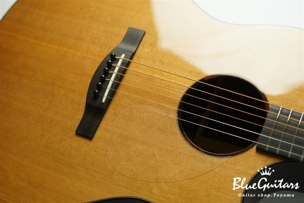 Acoustic Model AD. Cutaway Cedar/Indian Rosewood