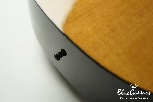 Acoustic Model AD. Cutaway Cedar/Indian Rosewood