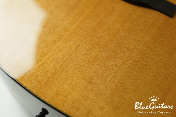 Acoustic Model AD. Cutaway Cedar/Indian Rosewood