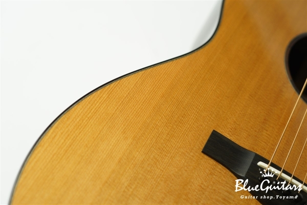 Acoustic Model AD. Cutaway Cedar/Indian Rosewood