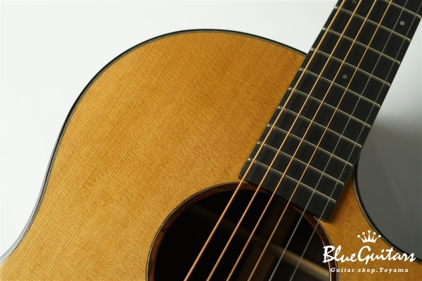 Acoustic Model AD. Cutaway Cedar/Indian Rosewood