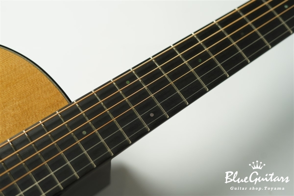 Acoustic Model AD. Cutaway Cedar/Indian Rosewood