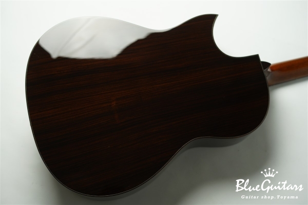 Acoustic Model AD. Cutaway Cedar/Indian Rosewood