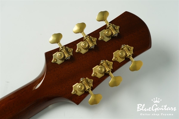 Acoustic Model AD. Cutaway Cedar/Indian Rosewood