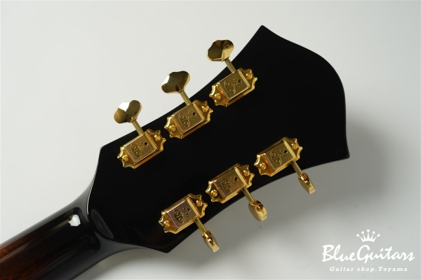 Ladybug SM-C HB - Vintage Sunburst #RZ0653