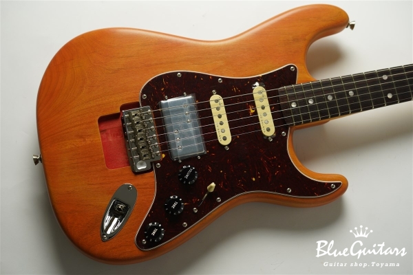 Stories Collection Michael Landau Coma Stratocaster