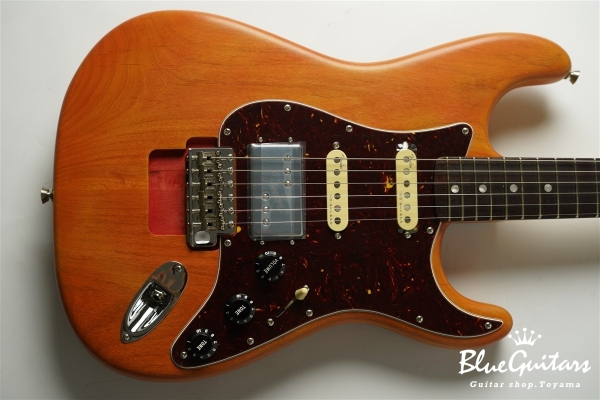 Stories Collection Michael Landau Coma Stratocaster